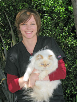 Sharon Caddy