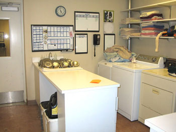 dog lodge