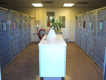 dog lodge