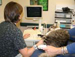 echocardiogram