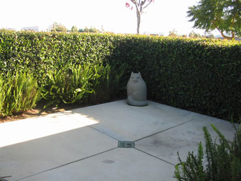 side patio area