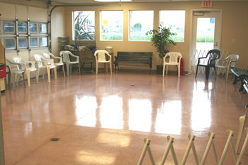 puppy room