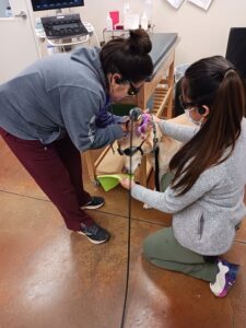 Laser therapy treatment