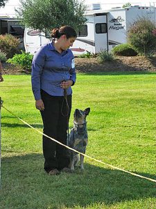 Mico watching Dr. Greenberg