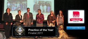 AAHA Practice of the Year - 2011 Finalist