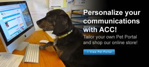 Personalize your Communications with ACC