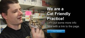 We are a Cat Friendly Practice!