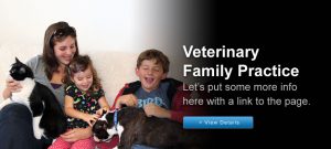 Veterinary Family Practice