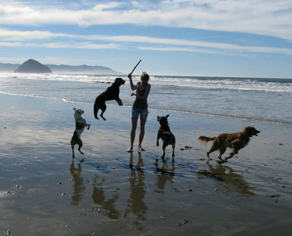 katy-dogs-beach