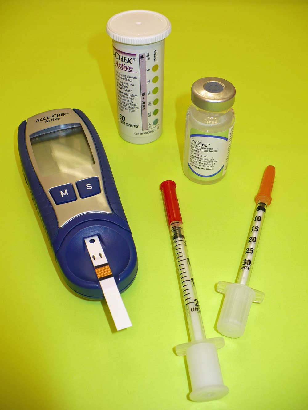 Diabetes & Insulin – Animal Care Clinic