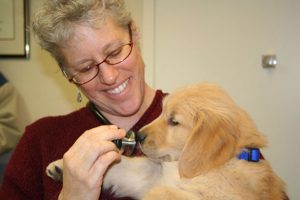 puppy-and-stethoscope