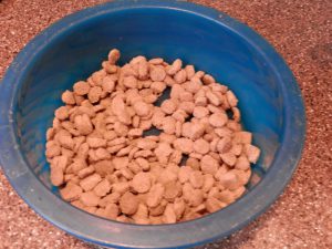 dry-kibble