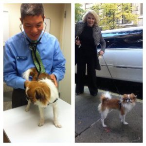 Teegan and Dr Tao Animal Care Clinic