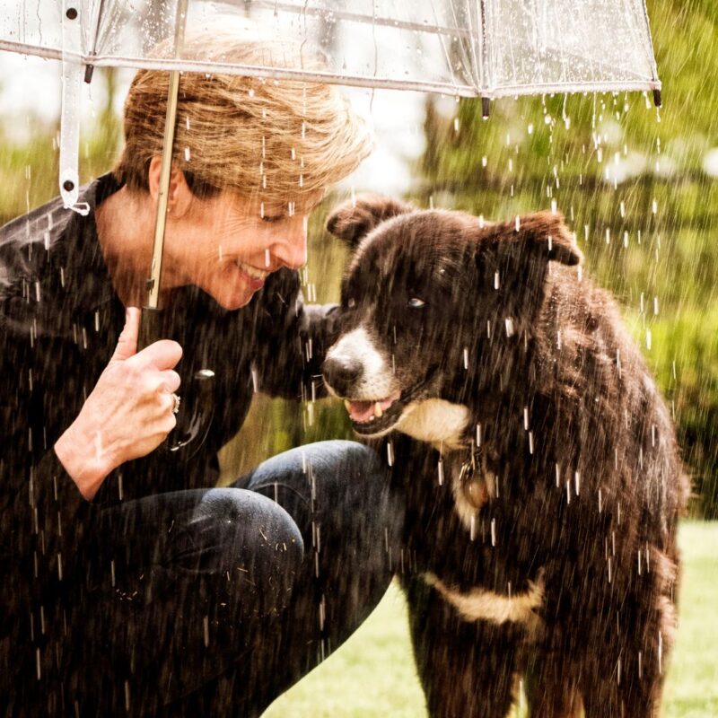 Help! My dog won’t go potty in the rain! Animal Care Clinic